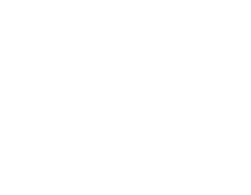 Fitbit Local Denver Logo CMYK WDB 05